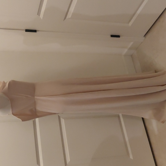 WAYF The Wesley Cowl Neck Chiffon Gown in Champagne sz Small - Picture 10 of 13